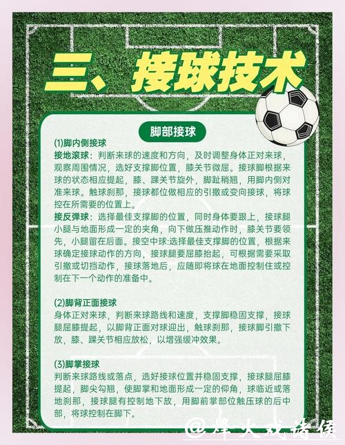 深入解析世界杯外围平台稳定性与安全性 深入解析世界杯外围平台稳定性与安全性